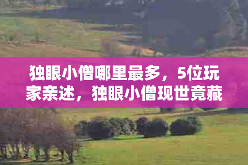 独眼小僧哪里最多,5位玩家亲述,独眼小僧现世竟藏惊天疑点?网吧展台集体绷不住! 独眼小僧哪里最多,5位玩家亲述,独眼小僧现世竟藏惊天疑点?网吧展台集体绷不住!