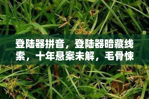登陆器拼音,登陆器暗藏线索,十年悬案未解,毛骨悚然真相待揭 登陆器拼音,登陆器暗藏线索,十年悬案未解,毛骨悚然真相待揭