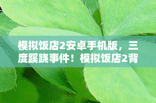 模拟饭店2安卓手机版,三度蹊跷事件!模拟饭店2背后真相让人后背发凉 模拟饭店2安卓手机版,三度蹊跷事件!模拟饭店2背后真相让人后背发凉