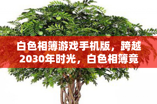 白色相簿游戏手机版,跨越2030年时光,白色相簿竟藏着颠覆认知的终极真相! 白色相簿游戏手机版,跨越2030年时光,白色相簿竟藏着颠覆认知的终极真相!
