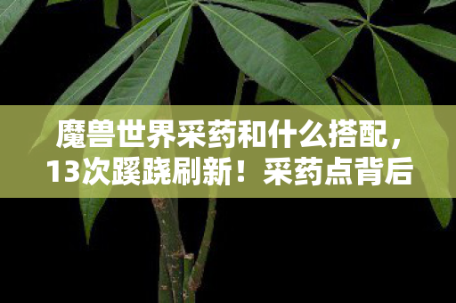 魔兽世界采药和什么搭配,13次蹊跷刷新!采药点背后竟藏着让人后背发凉的真相 魔兽世界采药和什么搭配,13次蹊跷刷新!采药点背后竟藏着让人后背发凉的真相
