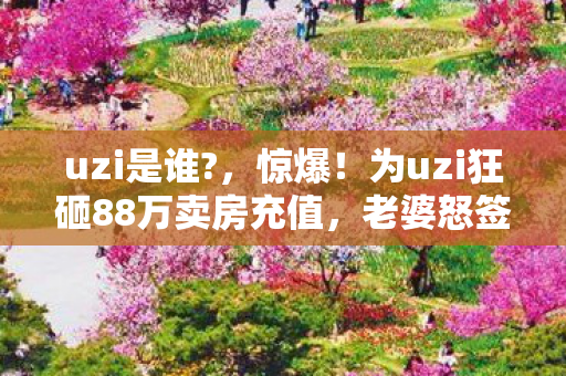 uzi是谁?,惊爆!为uzi狂砸88万卖房充值,老婆怒签离婚协议,我悔不当初! uzi是谁?,惊爆!为uzi狂砸88万卖房充值,老婆怒签离婚协议,我悔不当初!