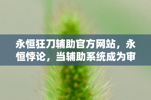 永恒狂刀辅助官方网站,永恒悖论,当辅助系统成为审判者,你的选择是自由还是枷锁? 永恒狂刀辅助官方网站,永恒悖论,当辅助系统成为审判者,你的选择是自由还是枷锁?