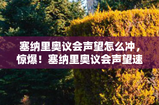 塞纳里奥议会声望怎么冲，惊爆！塞纳里奥议会声望速升300%？背后真相让人脊背发凉！