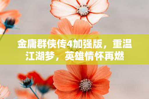 金庸群侠传4加强版图片