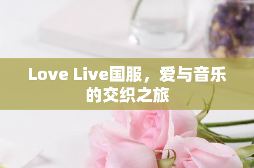 Love Live国服图片