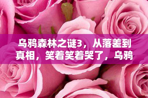 乌鸦森林之谜3，从落差到真相，笑着笑着哭了，乌鸦森林的骗局与自我救赎
