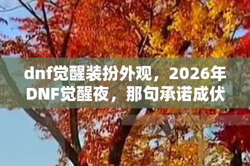 dnf觉醒装扮外观,2026年DNF觉醒夜,那句承诺成伏笔,如今想起鼻子一酸 dnf觉醒装扮外观,2026年DNF觉醒夜,那句承诺成伏笔,如今想起鼻子一酸
