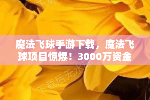 魔法飞球手游下载,魔法飞球项目惊爆!3000万资金黑洞藏隐情,结果让人吓一跳! 魔法飞球手游下载,魔法飞球项目惊爆!3000万资金黑洞藏隐情,结果让人吓一跳!