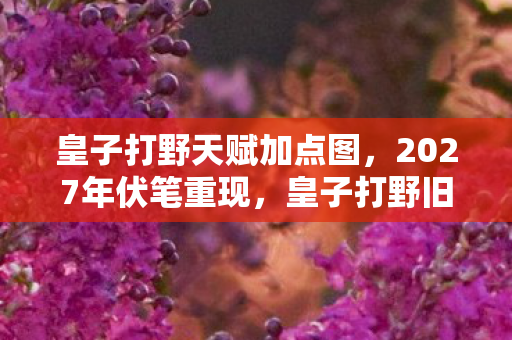 皇子打野天赋加点图，2027年伏笔重现，皇子打野旧时光，鼻子一酸忆往昔