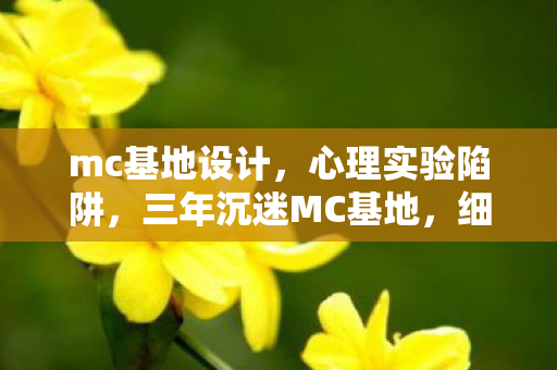 mc基地设计,心理实验陷阱,三年沉迷MC基地,细思极恐的自我囚禁 mc基地设计,心理实验陷阱,三年沉迷MC基地,细思极恐的自我囚禁