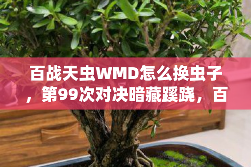 百战天虫WMD怎么换虫子，第99次对决暗藏蹊跷，百战天虫WMD背后竟让人后背发凉！