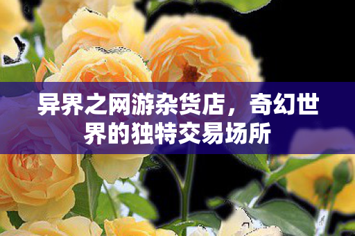 奇幻世界的独特交易场所图片