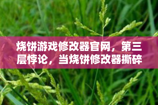 烧饼游戏修改器官网,第三层悖论,当烧饼修改器撕碎命运,你的选择竟是宇宙的谎言? 烧饼游戏修改器官网,第三层悖论,当烧饼修改器撕碎命运,你的选择竟是宇宙的谎言?
