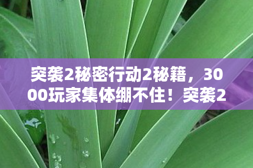 突袭2秘密行动2秘籍，3000玩家集体绷不住！突袭2秘密行动惊现时间悖论疑云，策划组慌了？