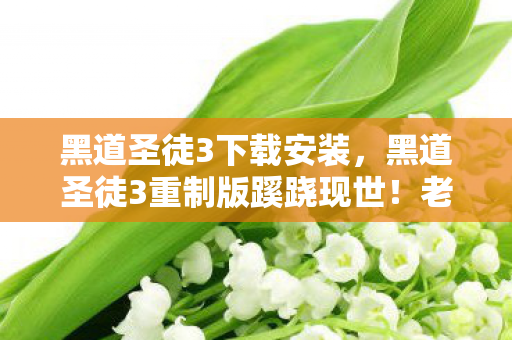 黑道圣徒3下载安装,黑道圣徒3重制版蹊跷现世!老玩家直呼爷青回的版本变迁 黑道圣徒3下载安装,黑道圣徒3重制版蹊跷现世!老玩家直呼爷青回的版本变迁
