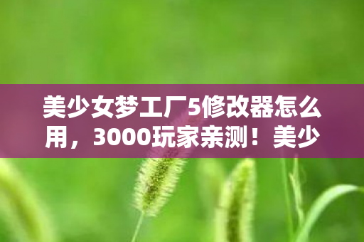 美少女梦工厂5修改器怎么用,3000玩家亲测!美少女梦工厂5修改器疑云,这操作谁绷得住啊? 美少女梦工厂5修改器怎么用,3000玩家亲测!美少女梦工厂5修改器疑云,这操作谁绷得住啊?