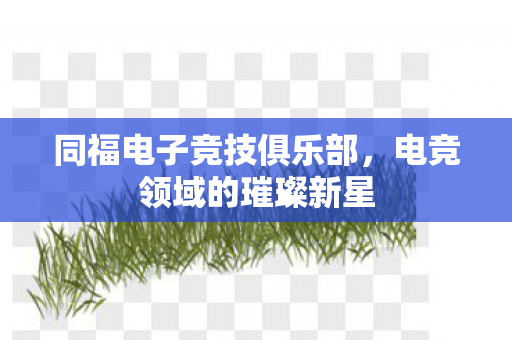 同福电子竞技俱乐部图片