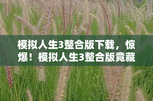 模拟人生3整合版下载，惊爆！模拟人生3整合版竟藏100+隐藏彩蛋，你发现几个？