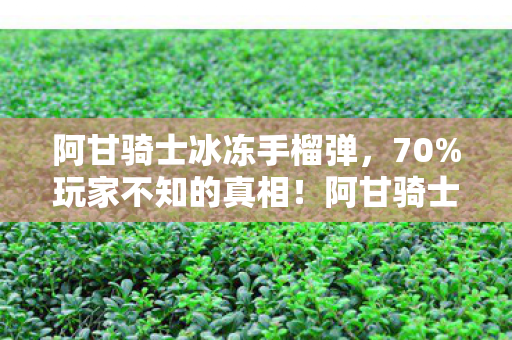 阿甘骑士冰冻手榴弹,70%玩家不知的真相!阿甘骑士暗夜中那抹扎心又神秘的泪光 阿甘骑士冰冻手榴弹,70%玩家不知的真相!阿甘骑士暗夜中那抹扎心又神秘的泪光