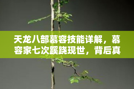 天龙八部慕容技能详解,慕容家七次蹊跷现世,背后真相让人后背发凉! 天龙八部慕容技能详解,慕容家七次蹊跷现世,背后真相让人后背发凉!