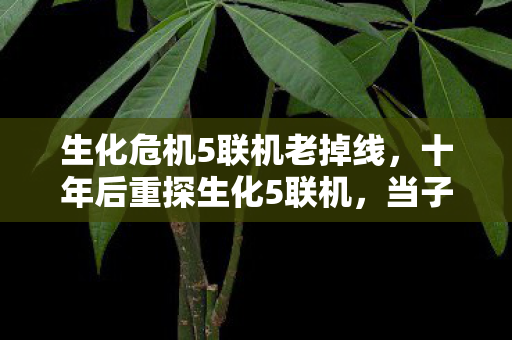 生化危机5联机老掉线，十年后重探生化5联机，当子弹耗尽时，我们究竟在和谁对决？