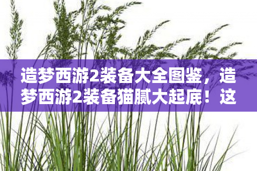 造梦西游2装备大全图鉴,造梦西游2装备猫腻大起底!这128件神器99%是氪金陷阱 造梦西游2装备大全图鉴,造梦西游2装备猫腻大起底!这128件神器99%是氪金陷阱