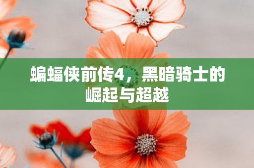 黑暗骑士的崛起与超越图片