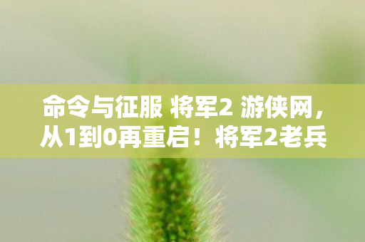 命令与征服 将军2 游侠网，从1到0再重启！将军2老兵泪目，这战场竟让我三度沦陷？