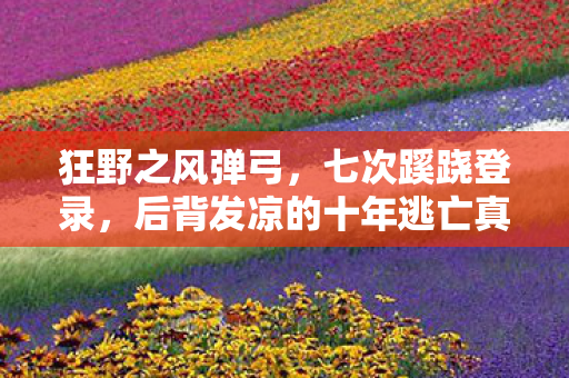 狂野之风弹弓,七次蹊跷登录,后背发凉的十年逃亡真相 狂野之风弹弓,七次蹊跷登录,后背发凉的十年逃亡真相