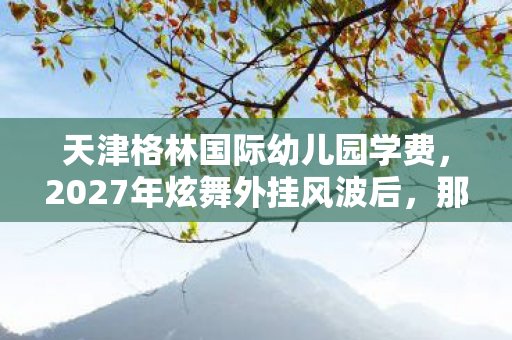 天津格林国际幼儿园学费，2027年炫舞外挂风波后，那些别走的伏笔，让我鼻子一酸