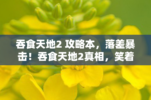 吞食天地2 攻略本，落差暴击！吞食天地2真相，笑着骂它垃圾，哭着又充了648