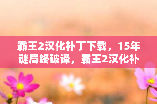 霸王2汉化补丁下载,15年谜局终破译,霸王2汉化补丁背后的泪目征程 霸王2汉化补丁下载,15年谜局终破译,霸王2汉化补丁背后的泪目征程