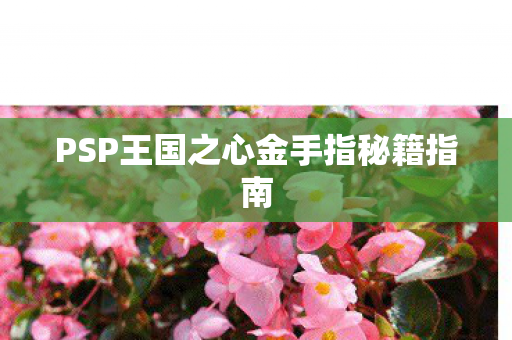 PSP王国之心金手指秘籍指南图片