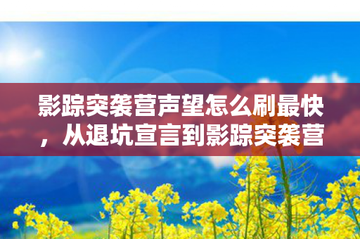 影踪突袭营声望怎么刷最快，从退坑宣言到影踪突袭营狂肝——笑着笑着，真相却让人哭了