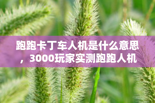 跑跑卡丁车人机是什么意思,3000玩家实测跑跑人机疑云,这AI开挂?老炮网吧笑到绷不住 跑跑卡丁车人机是什么意思,3000玩家实测跑跑人机疑云,这AI开挂?老炮网吧笑到绷不住