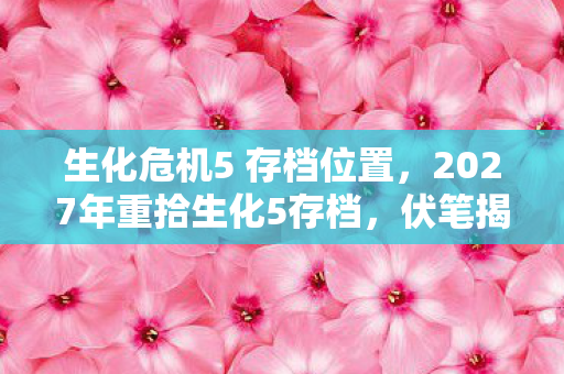 生化危机5 存档位置,2027年重拾生化5存档,伏笔揭开旧情,鼻子一酸泪满襟 生化危机5 存档位置,2027年重拾生化5存档,伏笔揭开旧情,鼻子一酸泪满襟