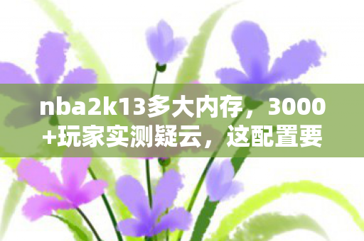 nba2k13多大内存,3000+玩家实测疑云,这配置要求是来搞笑的?网吧老炮当场绷不住 nba2k13多大内存,3000+玩家实测疑云,这配置要求是来搞笑的?网吧老炮当场绷不住