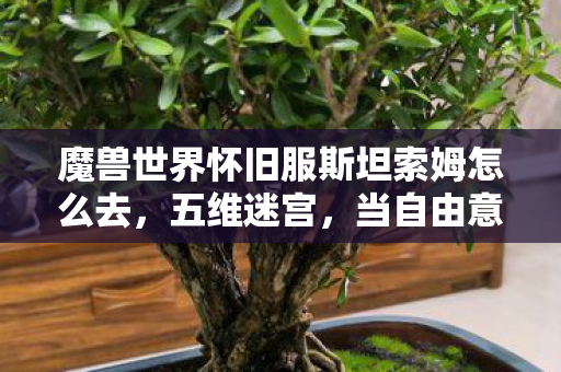 魔兽世界怀旧服斯坦索姆怎么去,五维迷宫,当自由意志撞碎命运齿轮的STSM通关悖论 魔兽世界怀旧服斯坦索姆怎么去,五维迷宫,当自由意志撞碎命运齿轮的STSM通关悖论