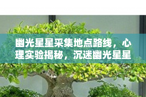 幽光星星采集地点路线,心理实验揭秘,沉迷幽光星星采集,细思极恐的自我囚禁 幽光星星采集地点路线,心理实验揭秘,沉迷幽光星星采集,细思极恐的自我囚禁