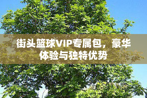 街头篮球VIP专属包图片