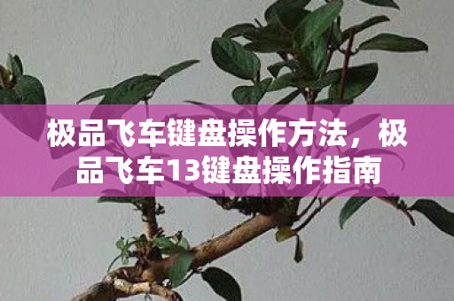 极品飞车键盘操作方法,极品飞车13键盘操作指南 极品飞车键盘操作方法,极品飞车13键盘操作指南
