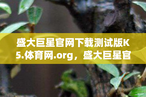 盛大巨星官网下载测试版K5.体育网.org,盛大巨星官网下载攻略及游戏介绍 盛大巨星官网下载测试版K5.体育网.org,盛大巨星官网下载攻略及游戏介绍