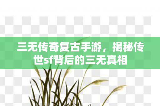三无传奇复古手游，揭秘传世sf背后的三无真相