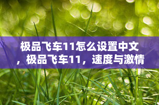 极品飞车11怎么设置中文，极品飞车11，速度与激情的重燃