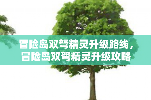 冒险岛双弩精灵升级路线,冒险岛双弩精灵升级攻略 冒险岛双弩精灵升级路线,冒险岛双弩精灵升级攻略