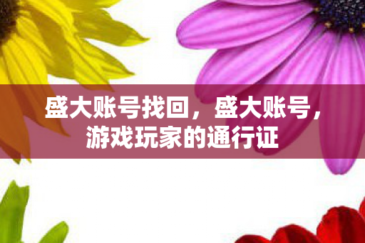 盛大账号找回,盛大账号,游戏玩家的通行证 盛大账号找回,盛大账号,游戏玩家的通行证