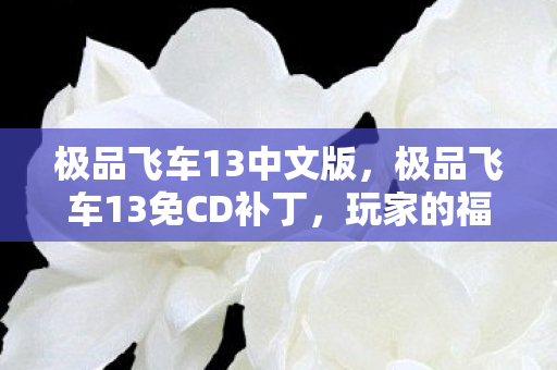 极品飞车13中文版,极品飞车13免CD补丁,玩家的福音与游戏破解的探讨 极品飞车13中文版,极品飞车13免CD补丁,玩家的福音与游戏破解的探讨