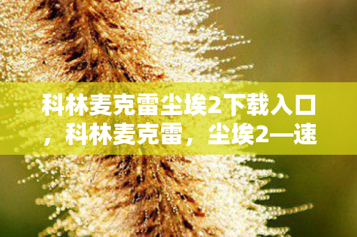 科林麦克雷尘埃2下载入口,科林麦克雷,尘埃2—速度与激情的重燃 科林麦克雷尘埃2下载入口,科林麦克雷,尘埃2—速度与激情的重燃