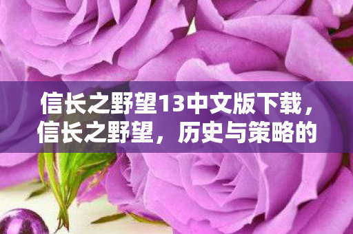 信长之野望13中文版下载,信长之野望,历史与策略的结合—游戏背后的故事与深度解析(13版中文版) 信长之野望13中文版下载,信长之野望,历史与策略的结合—游戏背后的故事与深度解析(13版中文版)